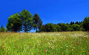 鋒面南移持續回溫  周休二日天氣晴！！