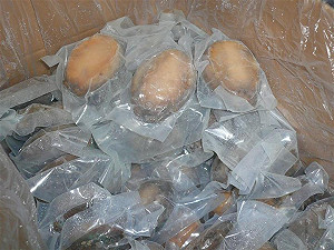 海產公司改標海鮮再販售  封存冷凍鮑魚逾萬公斤