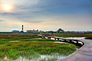 去高美濕地不求人 搭了公車就上路！