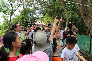 復育獨角仙有成 嘉義市頂庄社區生態活動開跑