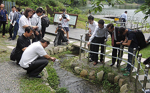 礁溪龍潭湖生態保育有成果！台灣原生種圓吻鯝魚爬階梯洄游產卵