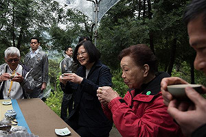 小英疑惑：上次參加桐花祭 桐花哪裡去了？