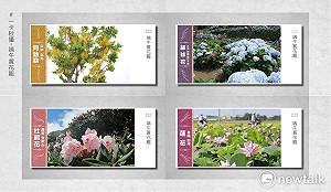 一卡秒懂  端午連假這裡賞花最有趣！