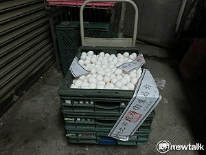 鬧蛋荒還有毒蛋！4.6萬台斤流入雙北 民眾恐吃下肚