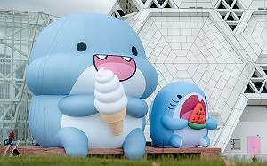 台灣原創IP角色巨大化展出    胖鯊魚鯊西米高流率先登場