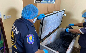 電鋸分屍! 德地產大亨芭達雅離奇失蹤 現金被盜 找到時已遭「肢解藏冰櫃」！