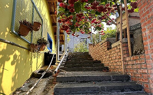 嘉縣農村再生社區 榮獲2023建築園冶獎