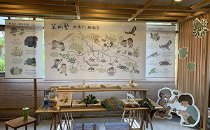 親子一起品茶去！貓空暑假活動登場  茶山導覽深度了解茶文化