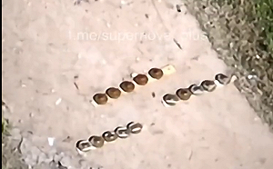 (影) 罕見畫面！震撼爆炸 俄軍戰場地雷密布 烏軍用無人機掃雷