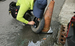 高雄本土登革熱 1   社區發現病媒蚊遭開單告發