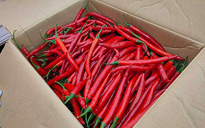 北市衛生局抽驗蔬果殘留農藥12件超標！知名餐廳上榜