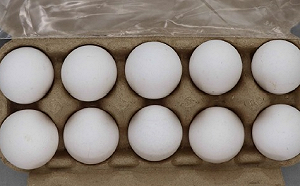 否認拒給地方政府進口蛋資料！農業部澄清：對方未按程序辦理