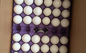 土耳其雞蛋檢出致癌物！畜產會：求償金額將超過新台幣 500萬