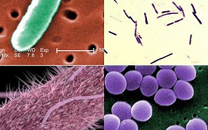吃壞肚子？腹瀉超過3天很不妙！感染專家：4症狀請立即就醫