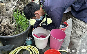 登革熱病例431例又面臨陣雨挑戰  南市府籲市民強力清除孳生源