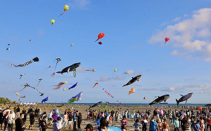 開心Fun暑假！ 2023旗津風箏節首創陸海空3D展演   