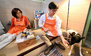 游淑慧酸「議員吃狗糧」 康裕成駁：政治語言讓高雄人傻眼