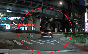 行人過斑馬線遭撞飛　肇事休旅車秒落跑