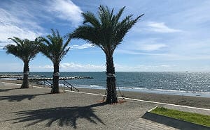 通勤族也能輕鬆玩台南！低碳旅遊交通攻略發行 最新資訊一把收