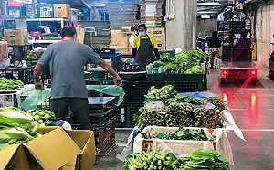 山陀兒牛步！昨菜價飆升今卻大跌20% 農糧署：將設平價專區控菜價 