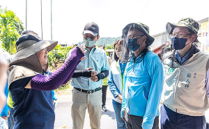 颱風後2週 本土登革熱恐再掀一波！薛瑞元：防颱後「這件事」要注意
