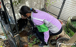 做好防颱準備亦做好防蚊措施  南市提醒避免與病媒蚊共處一室