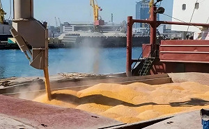 俄羅斯退糧食協議瞄準烏運糧船 北約強化黑海巡弋