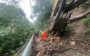 高雄桃源樹倒壓斷電纜線   台電搶修復電