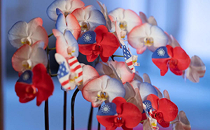 路透曝美將對台提供價值「破百億台幣武器」援助 美台拒評