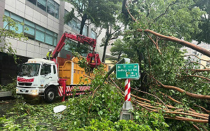 杜蘇芮颱風橫掃高雄路樹   公園處迅速恢復交通順暢