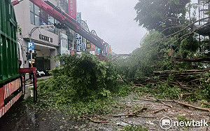 杜蘇芮颱風尾狂掃台南  路樹倒伏嚴重部分地區淹水停電