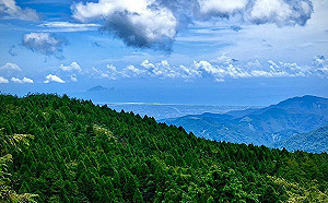 海葵颱風遠離！海警解除   林業署：太平山9/6上午6時恢復開園