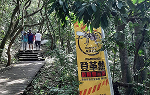 本土登革熱累計162例!高雄上週新增7例 疾管署:南部病媒蚊指數上升