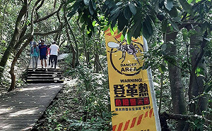 本土登革熱累計162例！高雄上週新增7例 疾管署：南部病媒蚊指數上升 