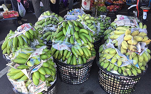 杜蘇芮颱風過境 農委會估農損：超過9千萬