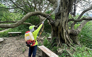 高雄本土登革熱 2  陳其邁呼籲雨後48小時落實「巡倒清刷｣