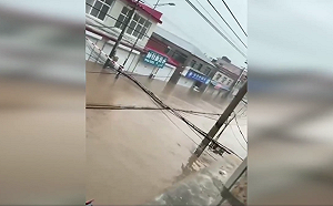 (影) 北京洪災頻傳！2民眾抱樹一天求生 中圖網70員工受困