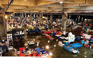 徐巧芯諷前鎮漁港81億「要撈哥吉拉？」許淑華轟無知！基本功課都沒做