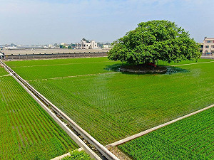 《國土計畫法》2025年上路!土地使用將被限縮?環團釋疑