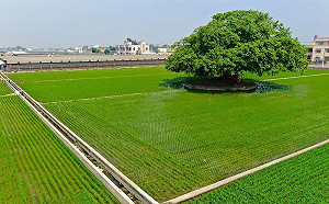 《國土計畫法》2025年上路！土地使用將被限縮？環團釋疑