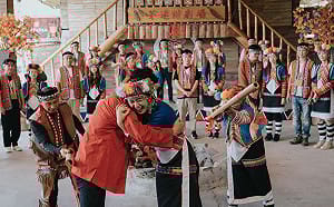 百年神木下的真愛諾言！阿里山森系婚禮10月浪漫登場