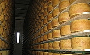 被自家1.5萬個乳酪壓死! 義大利老闆意外身亡 118消防員費時12小時才找到