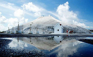 暑假安排台南一日遊必看！七股打卡、美食資訊快收