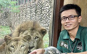 8/10世界獅子日  壽山動物園分享「獅」生活