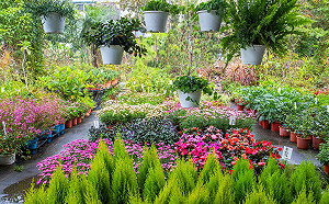 騎鐵馬吃釋迦！台南歸仁必吃必玩一次看