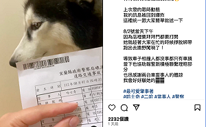 哈士奇成交通事故「當事人」 女主人訓斥網友笑翻