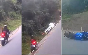 (影)「山道猴子的一生」有幾分真實度？台七乙「猴子」外拋亂竄療癒畫面一次看