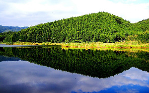 逛市集漫遊山村！宜蘭雙連埤「犬香薷節」8/26登場