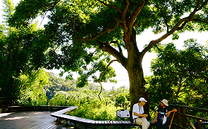 野餐＋聽音樂！北投湖山農村秘境景點暑假必去