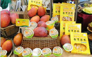 稱檢出大洋臀紋粉蚧 中國今起禁台灣芒果 